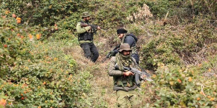 Search operation to track 3 JeM terrorists on in Basantgarh