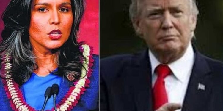 ‘She’s wrong,’ says Trump over spy chief Tulsi Gabbard’s take on Iran’s nuclear programme