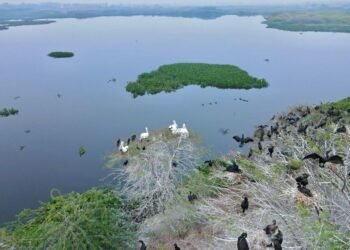 2 more wetlands get Ramsar tag, tally rises to 91