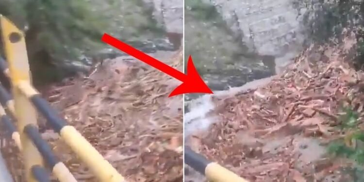 Scene not from ‘Pushpa’, but Kullu flashfloods; watch terrifying video of hundreds of logs flowing downstream