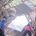 Landslide Hits Vaishno Devi Track in Reasi; One Dead, Nine Injured