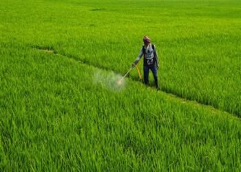 Centre Cracks Down on Fake Fertilisers; States Told to Act Swiftly