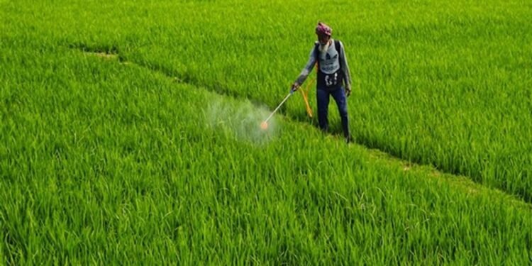 Centre Cracks Down on Fake Fertilisers; States Told to Act Swiftly