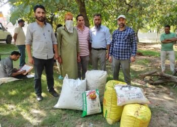 ANTF Kashmir Seizes Large Quantity of Poppy Straw, Nabs Accused in Budgam