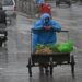 Heavy Rains Lash Kashmir, Authorities Activate Emergency Measures