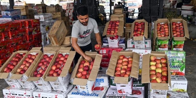1.37 Lakh MT of Fresh Fruits Dispatched From Kashmir in 10 Days