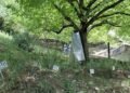 Study Finds Over 90% of Unmarked Graves in North Kashmir Belong to Foreign and Local Terrorists