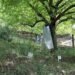 Study Finds Over 90% of Unmarked Graves in North Kashmir Belong to Foreign and Local Terrorists