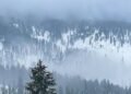 Fresh Snowfall Blankets Higher Reaches, Rains Cool Kashmir Valley