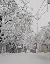 Cold Conditions Persist Across Kashmir; Sonamarg Shivers at −11.2°C