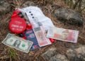 Pak Balloons Carrying Foreign Currency Recovered in Akhnoor Border Area