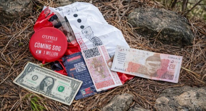 Pak Balloons Carrying Foreign Currency Recovered in Akhnoor Border Area