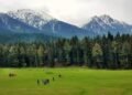 One Year After Attack, Pahalgam Bounces Back With Renewed турист Confidence