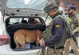 Srinagar Police Deploy Narcotic Dog Squad to Intensify Anti-Drug Crackdown