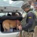 Srinagar Police Deploy Narcotic Dog Squad to Intensify Anti-Drug Crackdown