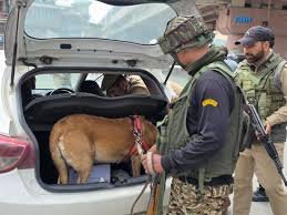 Srinagar Police Deploy Narcotic Dog Squad to Intensify Anti-Drug Crackdown
