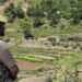 Operation Sheruwali Intensifies: Fire Assault Launched On Suspected Terror Hideouts In Rajouri