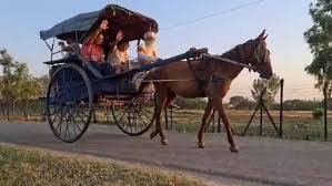 Traditional Tongas Make A Comeback In Jammu Border Belt Amid Push For Fuel Conservation