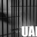 SC Flags Extremely Low UAPA Conviction Rate In J&K, Grants Bail In Narco-Terror Case After 5 Years In Jail
