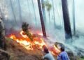Massive Forest Fire Engulfs Multiple Areas in Rajouri; Authorities Launch Intensive Containment Operations
