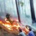 Massive Forest Fire Engulfs Multiple Areas in Rajouri; Authorities Launch Intensive Containment Operations