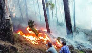 Massive Forest Fire Engulfs Multiple Areas in Rajouri; Authorities Launch Intensive Containment Operations
