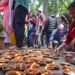 Massive Turnout at Kheer Bhawani Mela Reflects Peaceful Atmosphere in J&K: BJP