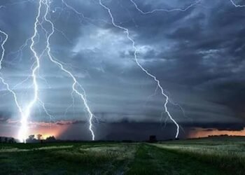 Lightning Strike Devastates Poonch: Over 50 Livestock Killed in Surankote, Separate Electrocution Claims Ox