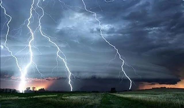 Lightning Strike Devastates Poonch: Over 50 Livestock Killed in Surankote, Separate Electrocution Claims Ox
