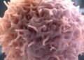 LIVE CANCER CELLS: A NEW FRONTIER IN DRUG DISCOVERY