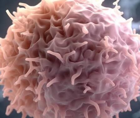 LIVE CANCER CELLS: A NEW FRONTIER IN DRUG DISCOVERY