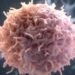 LIVE CANCER CELLS: A NEW FRONTIER IN DRUG DISCOVERY
