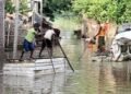 BIHAR FLOOD CRISIS: 40 LAKH HIT! 🌊