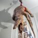BEHIND BARS IN A WORLD OF WILDNESS: AMSTERDAM’S ART ZOO TURNS THE NATURAL WORLD UPSIDE DOWN!