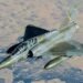 TRAGEDY IN FRANCE: MIRAGE 2000D FIGHTER JET CRASHES IN EASTERN REGION, AT LEAST ONE DEAD
