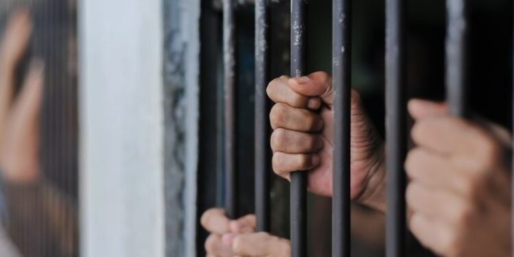 INDIAN-ORIGIN ACCOUNTANT SENTENCED TO 41 MONTHS IN US FRAUD CASE